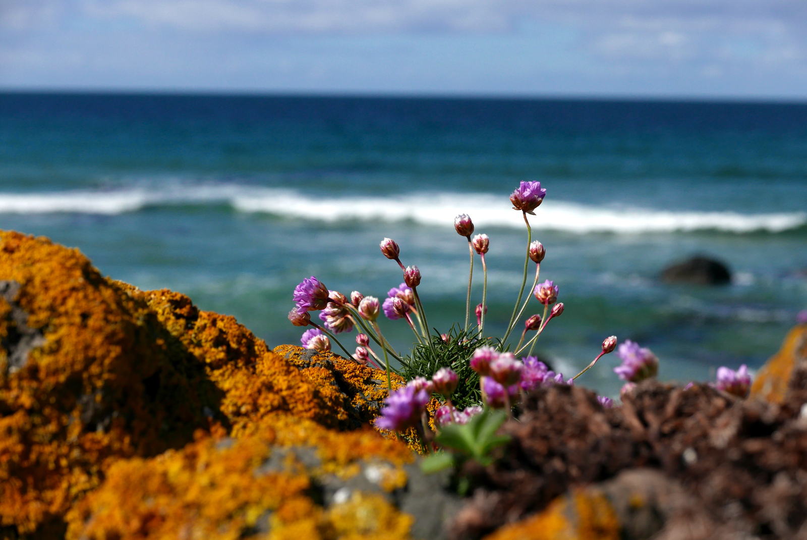 2019 05 03 machrihanish27