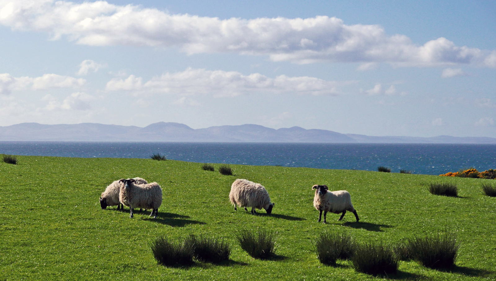 2019 05 03 machrihanish32