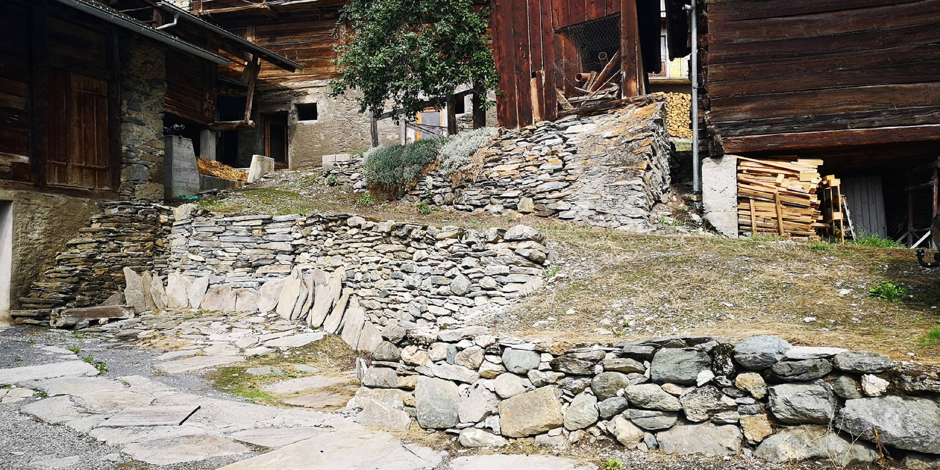 IMG 20190813 102559