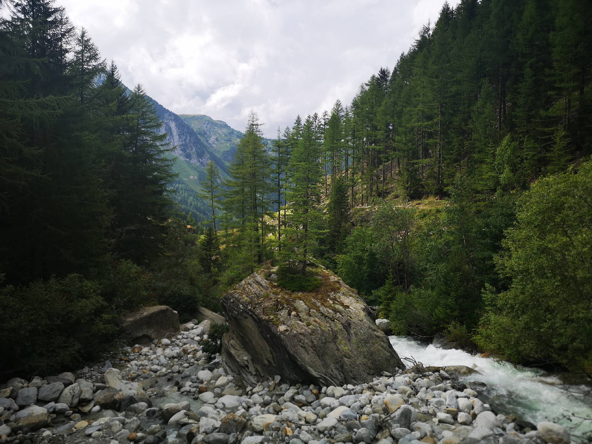 IMG 20190813 165513