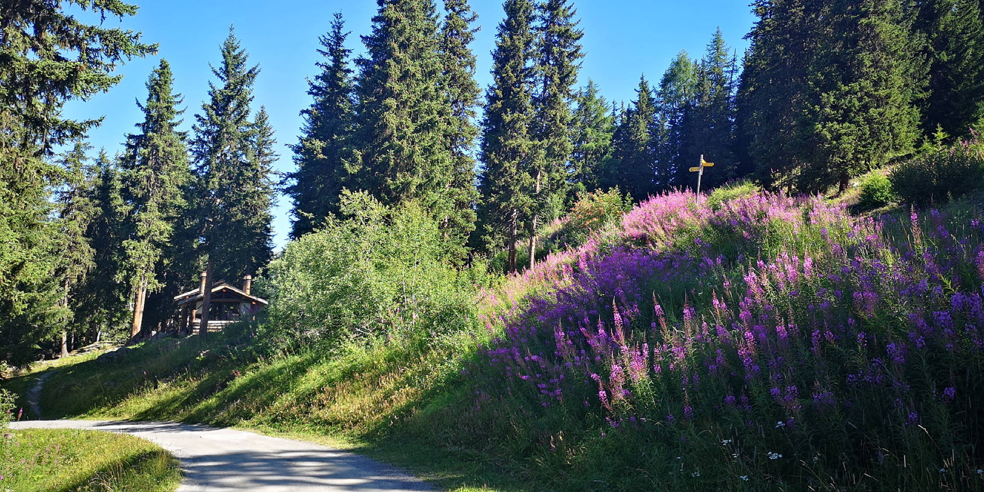 IMG 20190818 104327