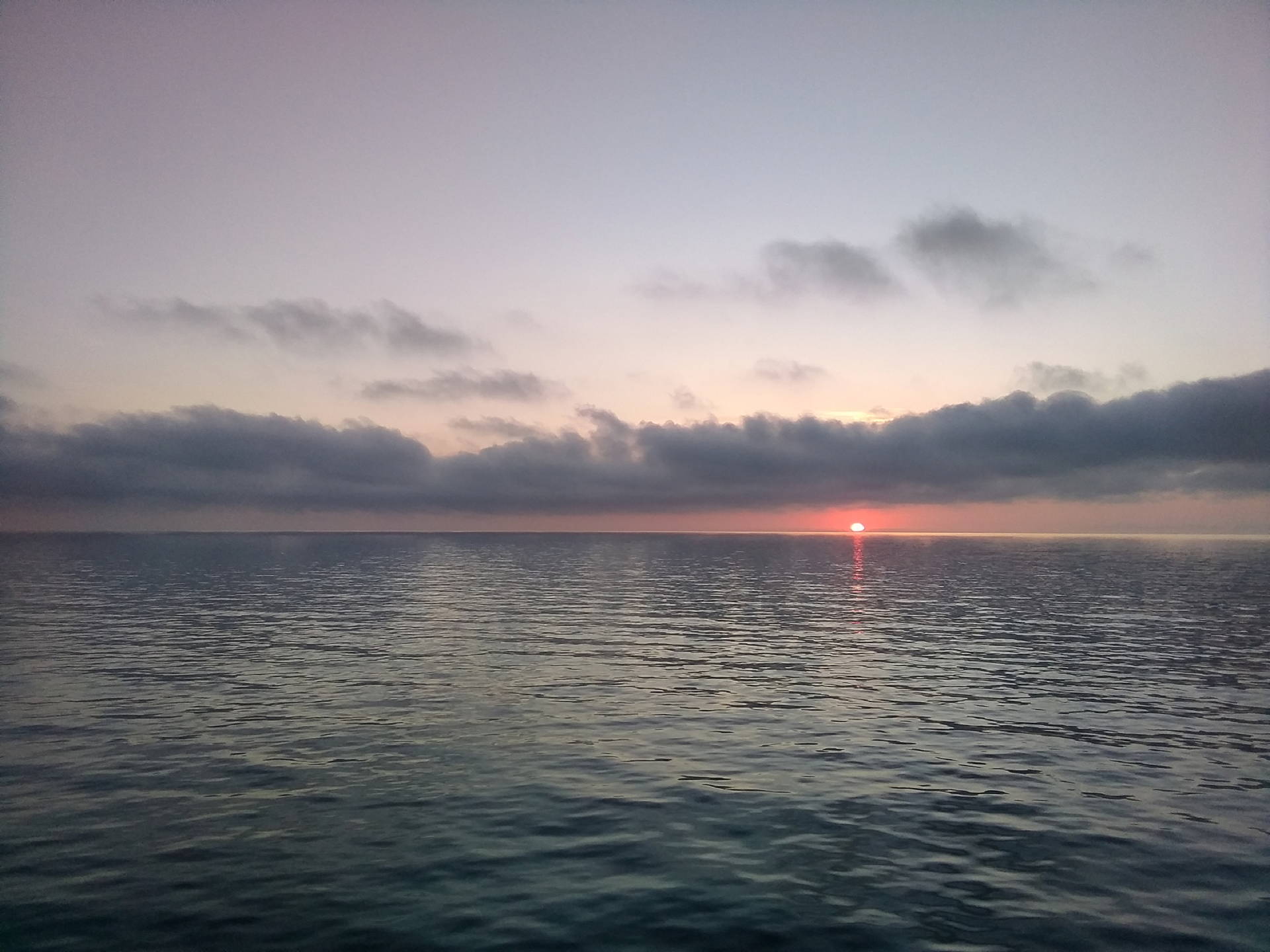 IMG 2020 08 16 06 36 55 134