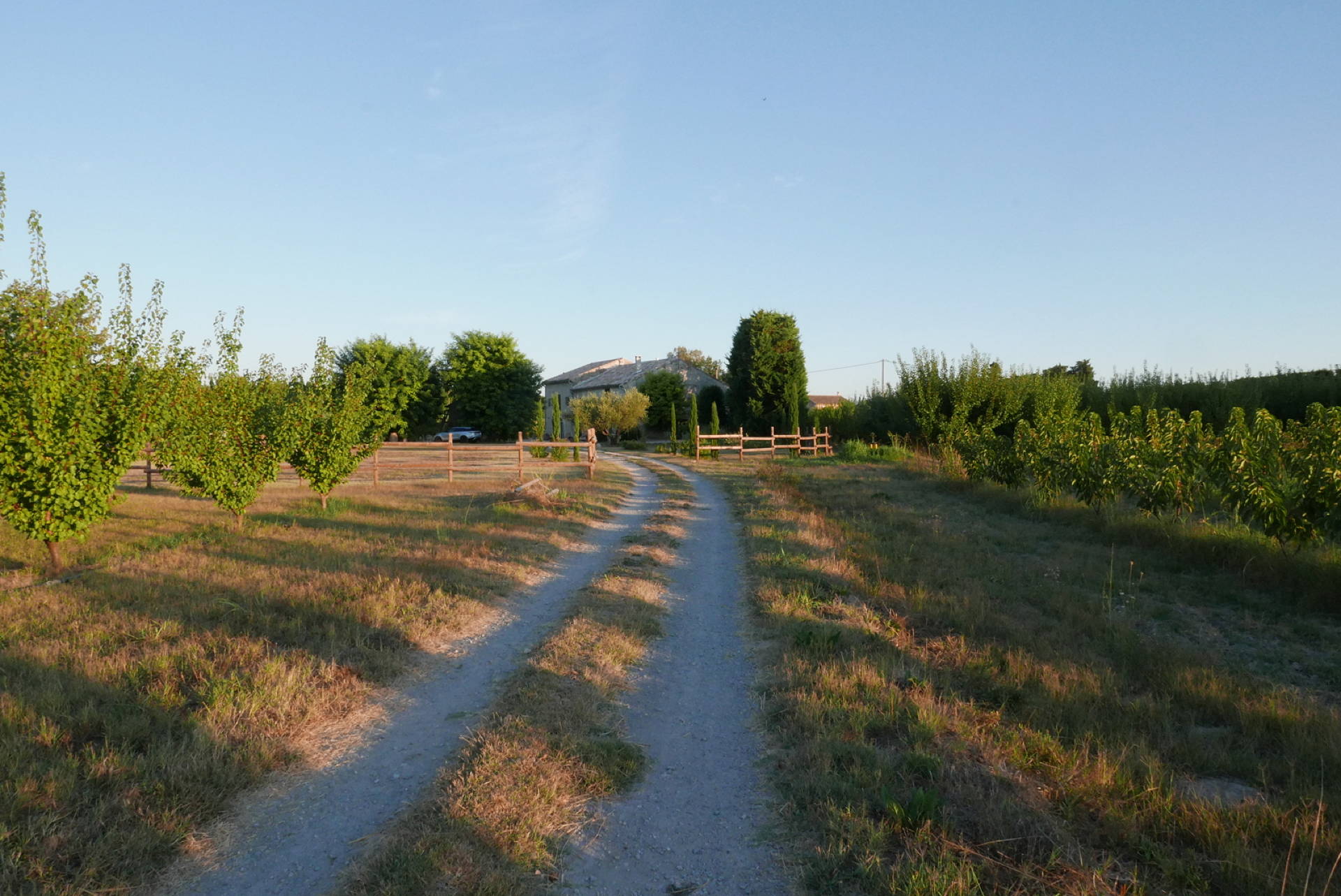 P1080367