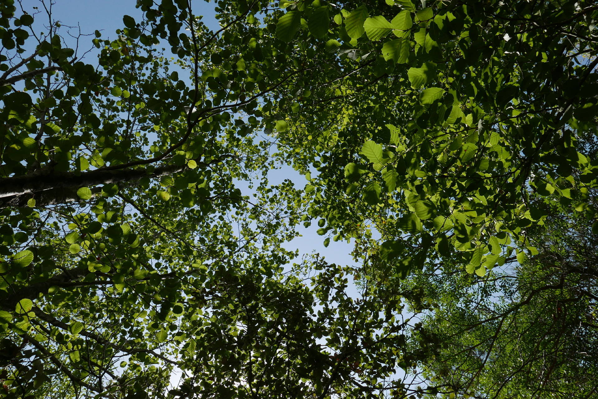 P1080542