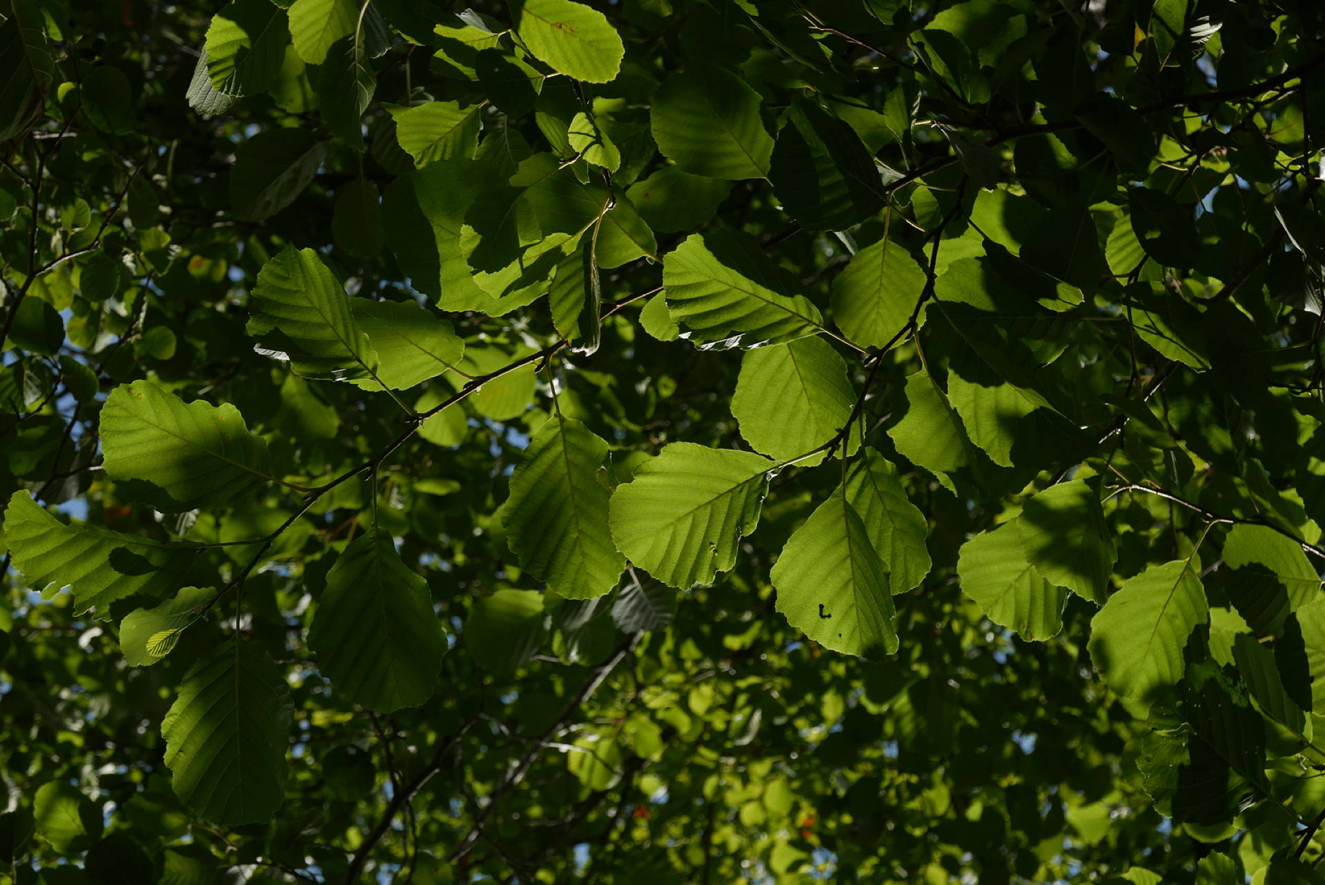 P1080543
