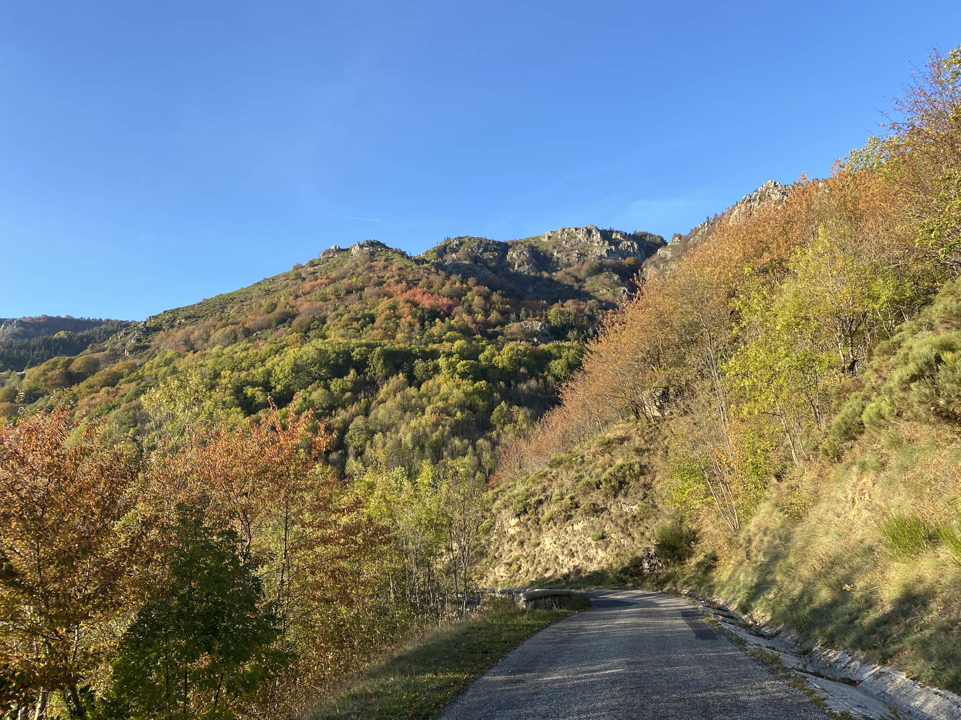 IMG 0886