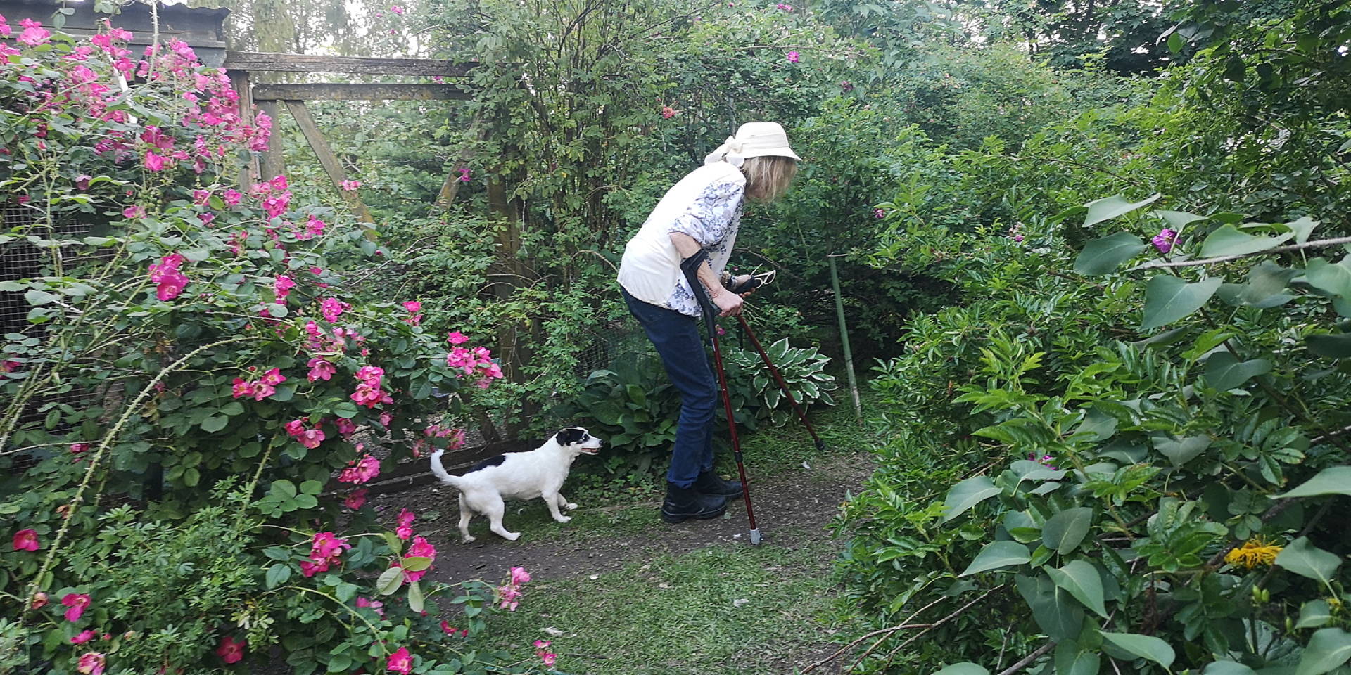 IMG 20200715 165749