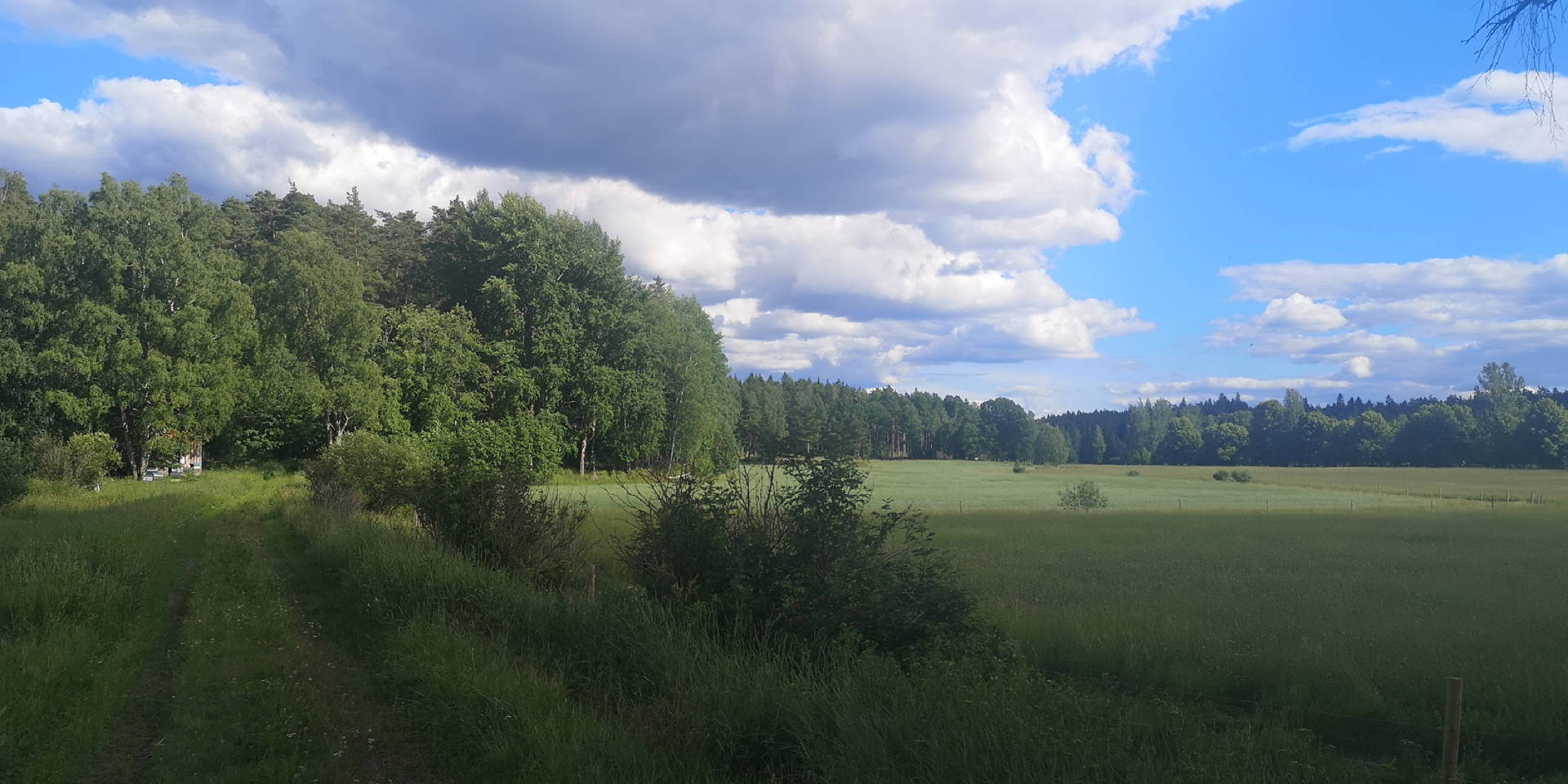 IMG 20200715 171954