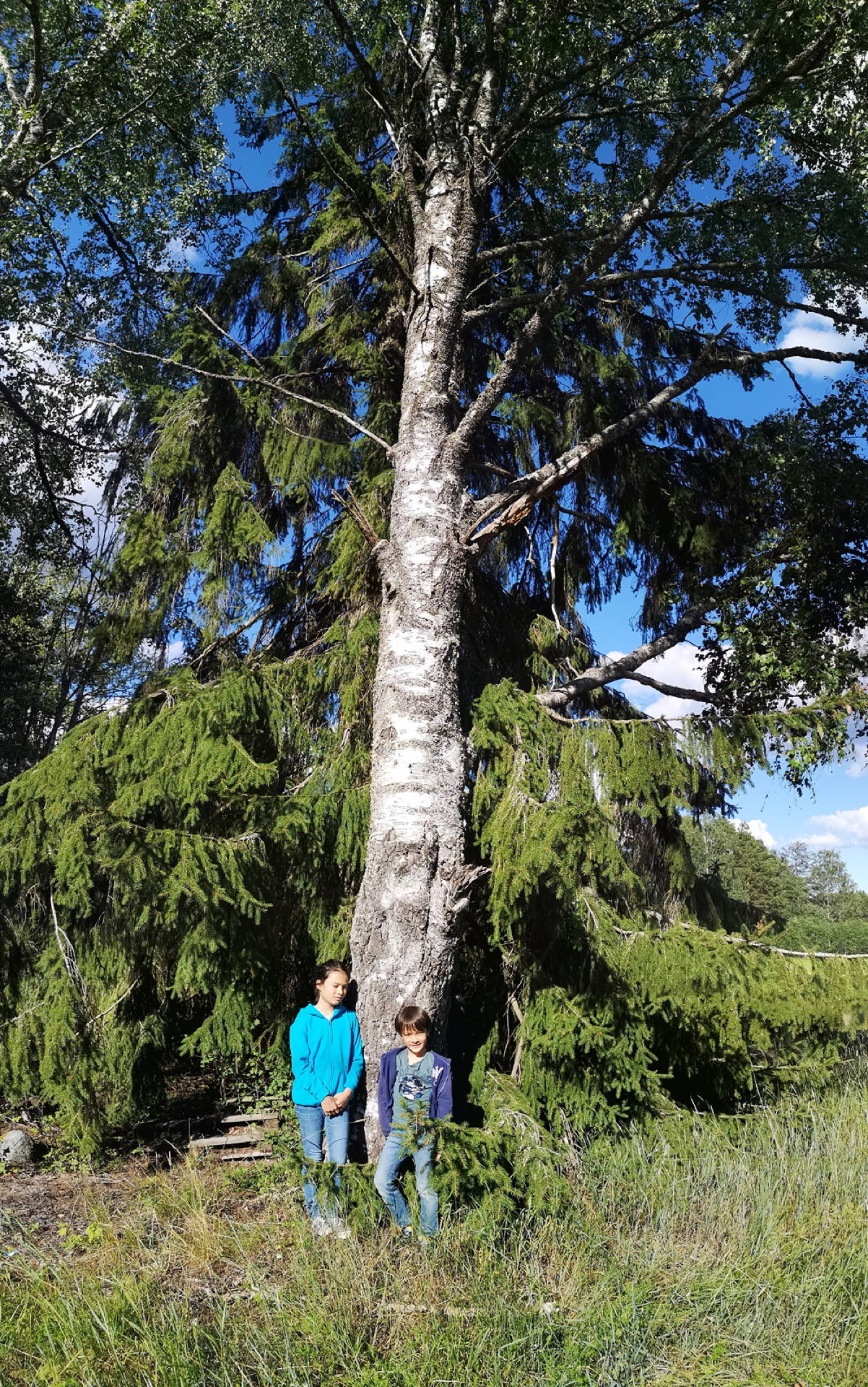 IMG 20200726 173123