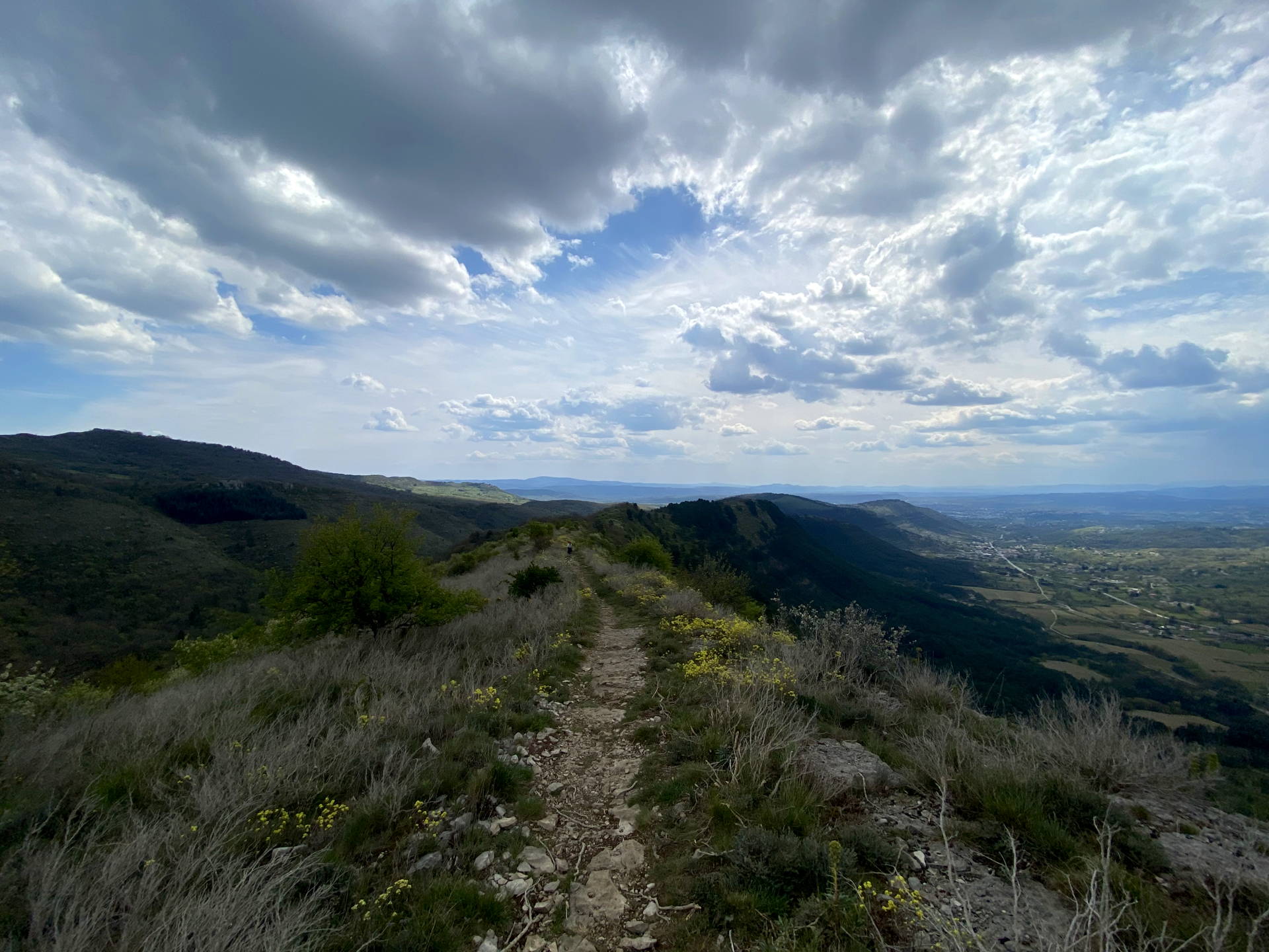 IMG 3238