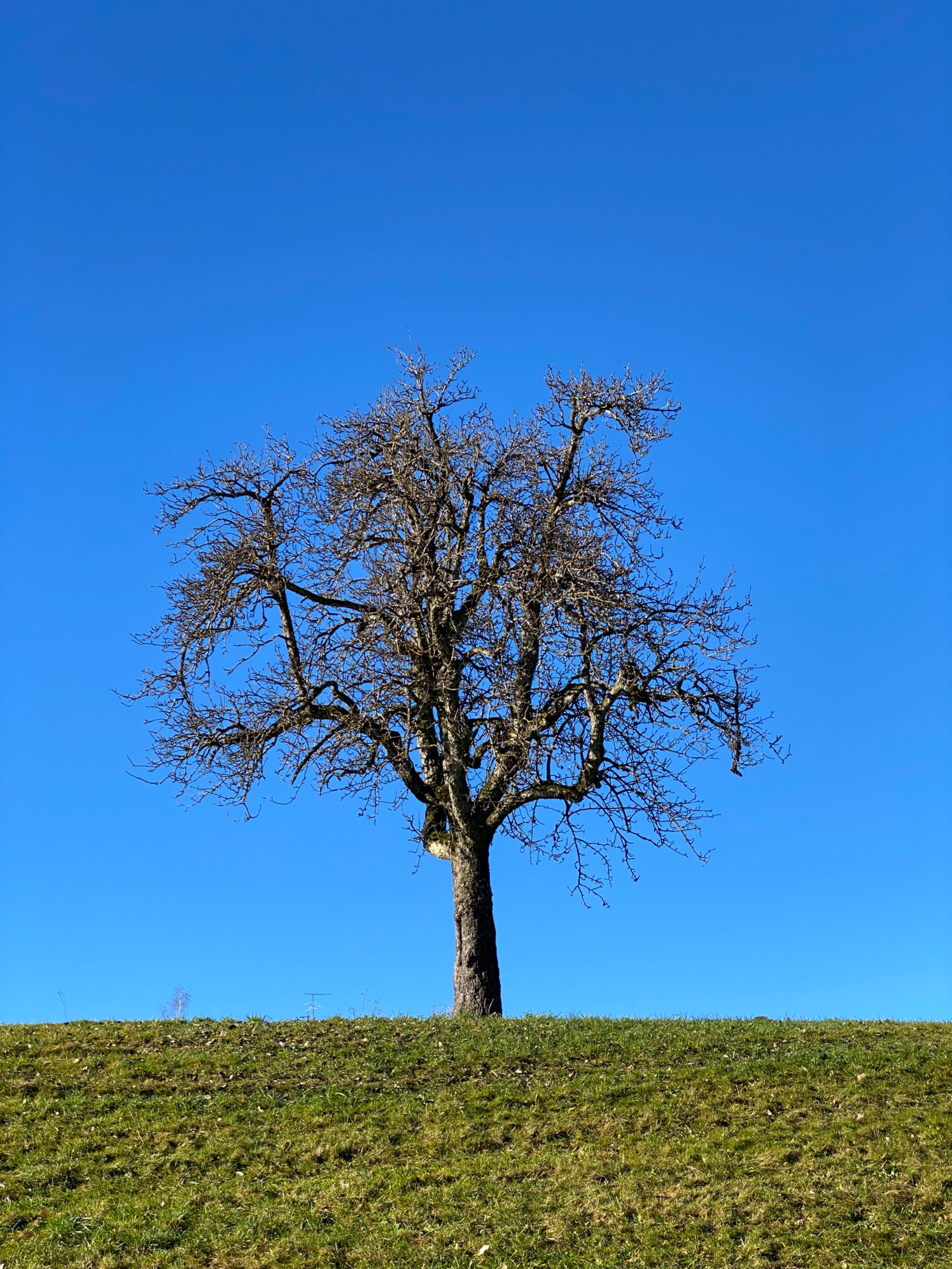 IMG 7308