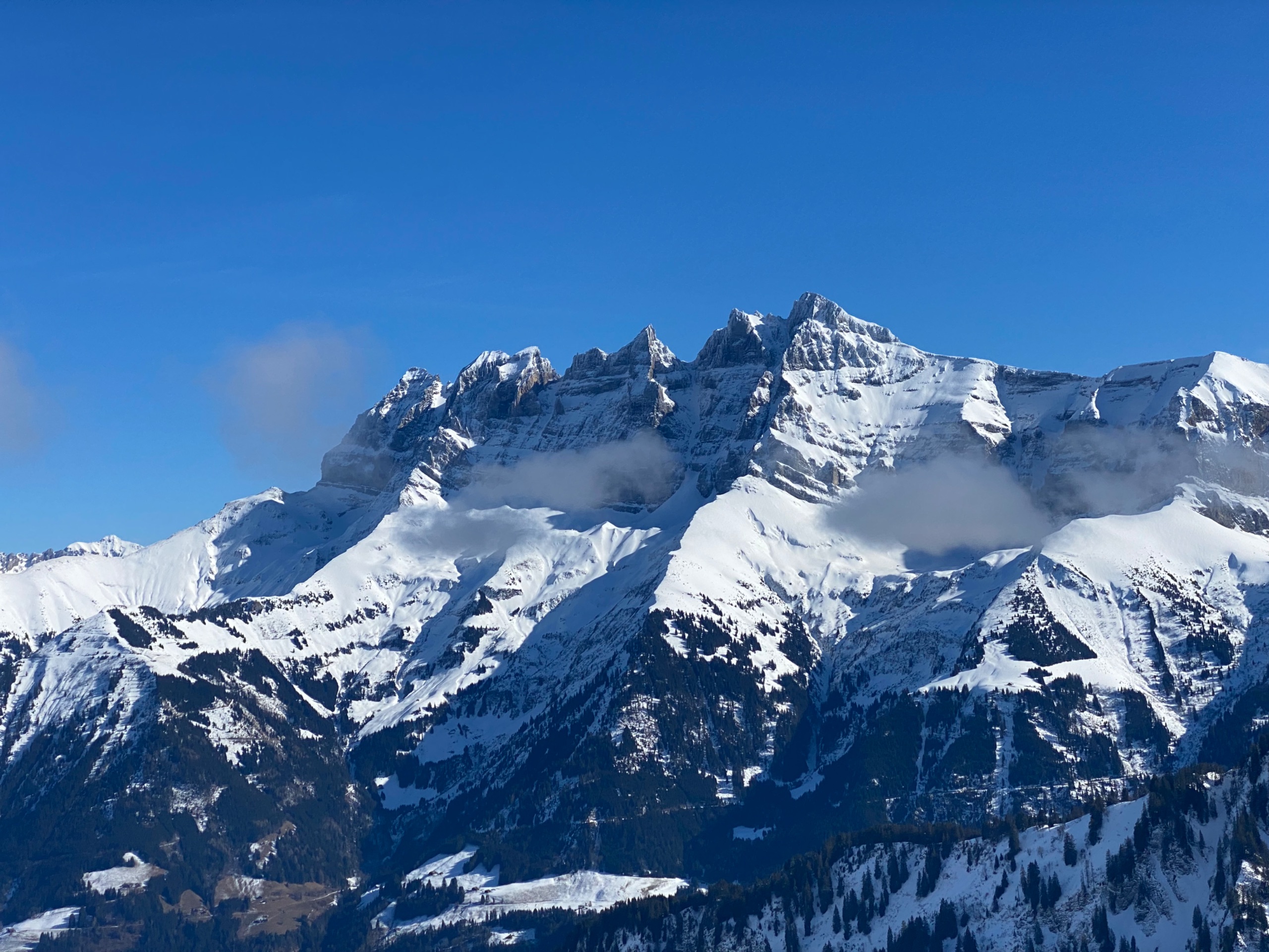 IMG 7896
