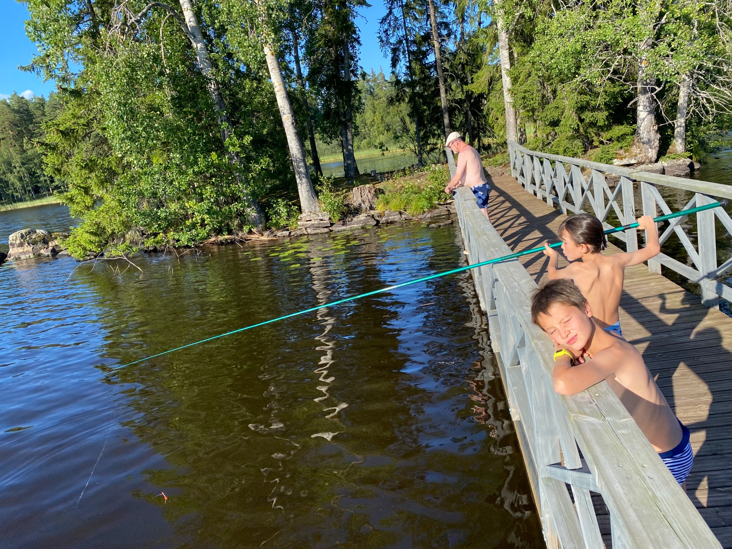 IMG 0353