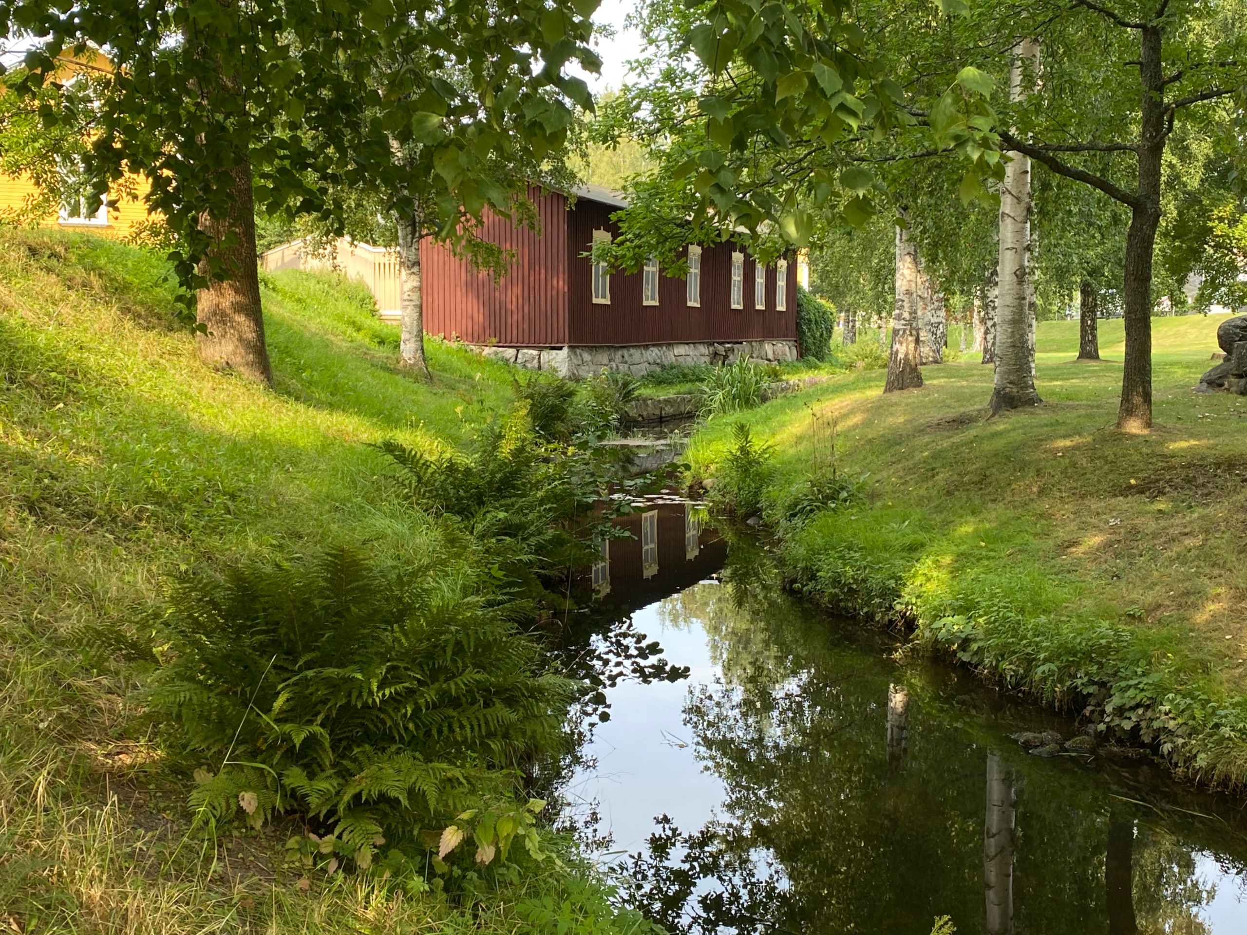 IMG 0662