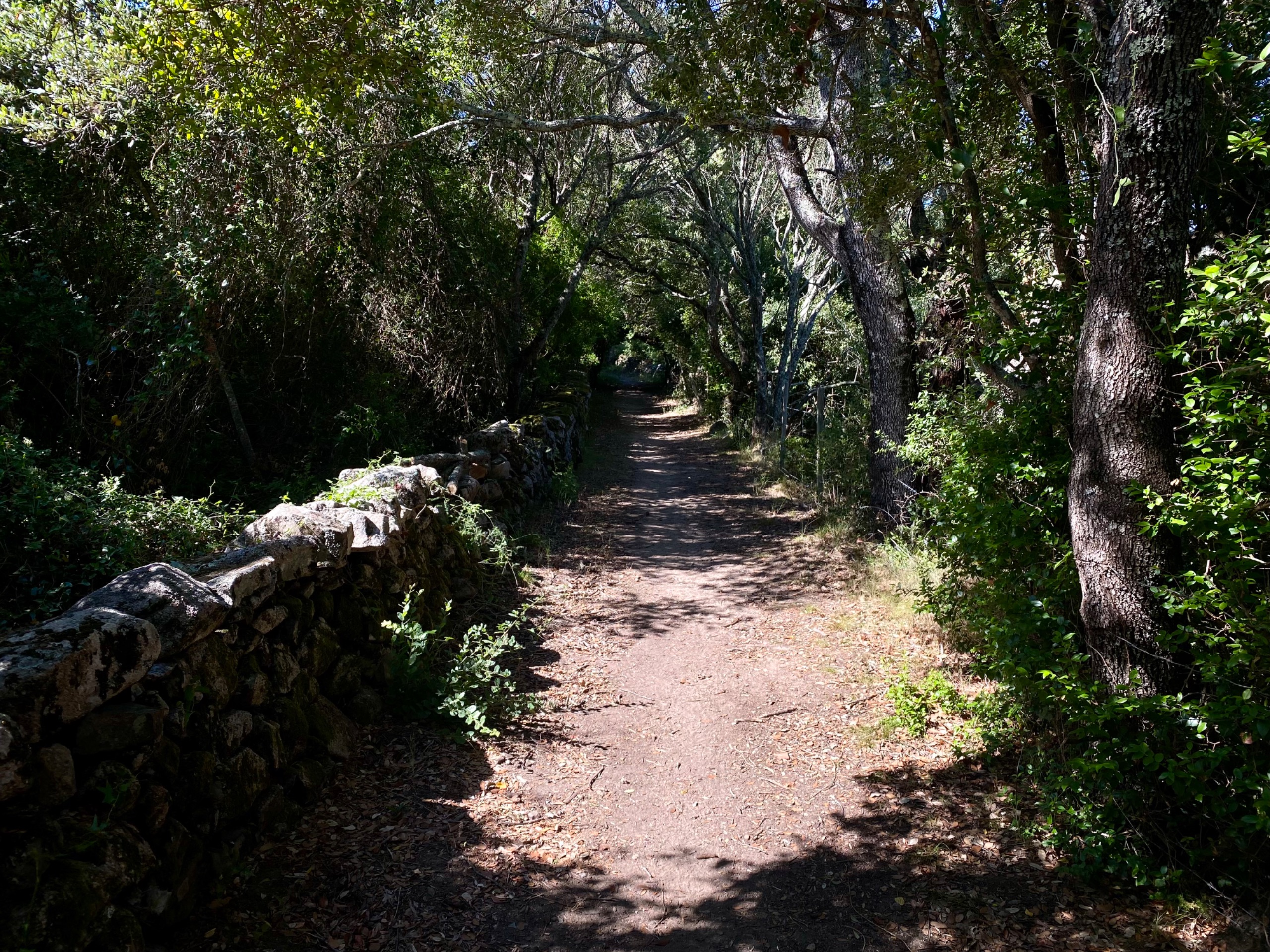 IMG 4753