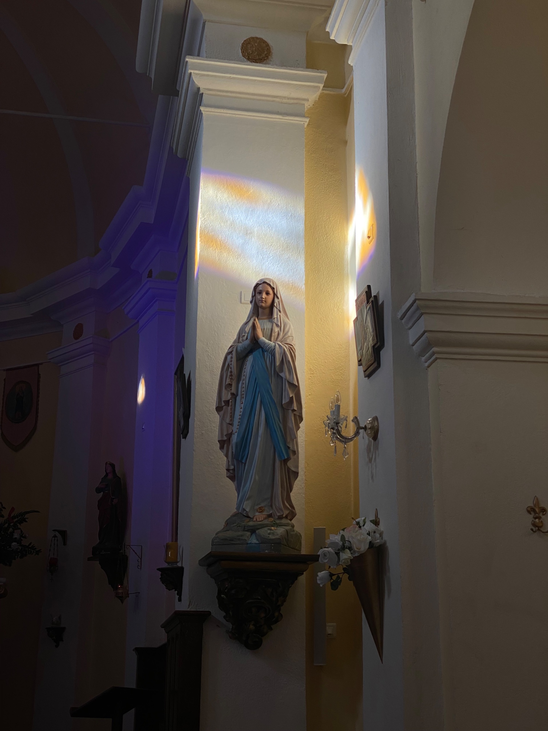 IMG 4871
