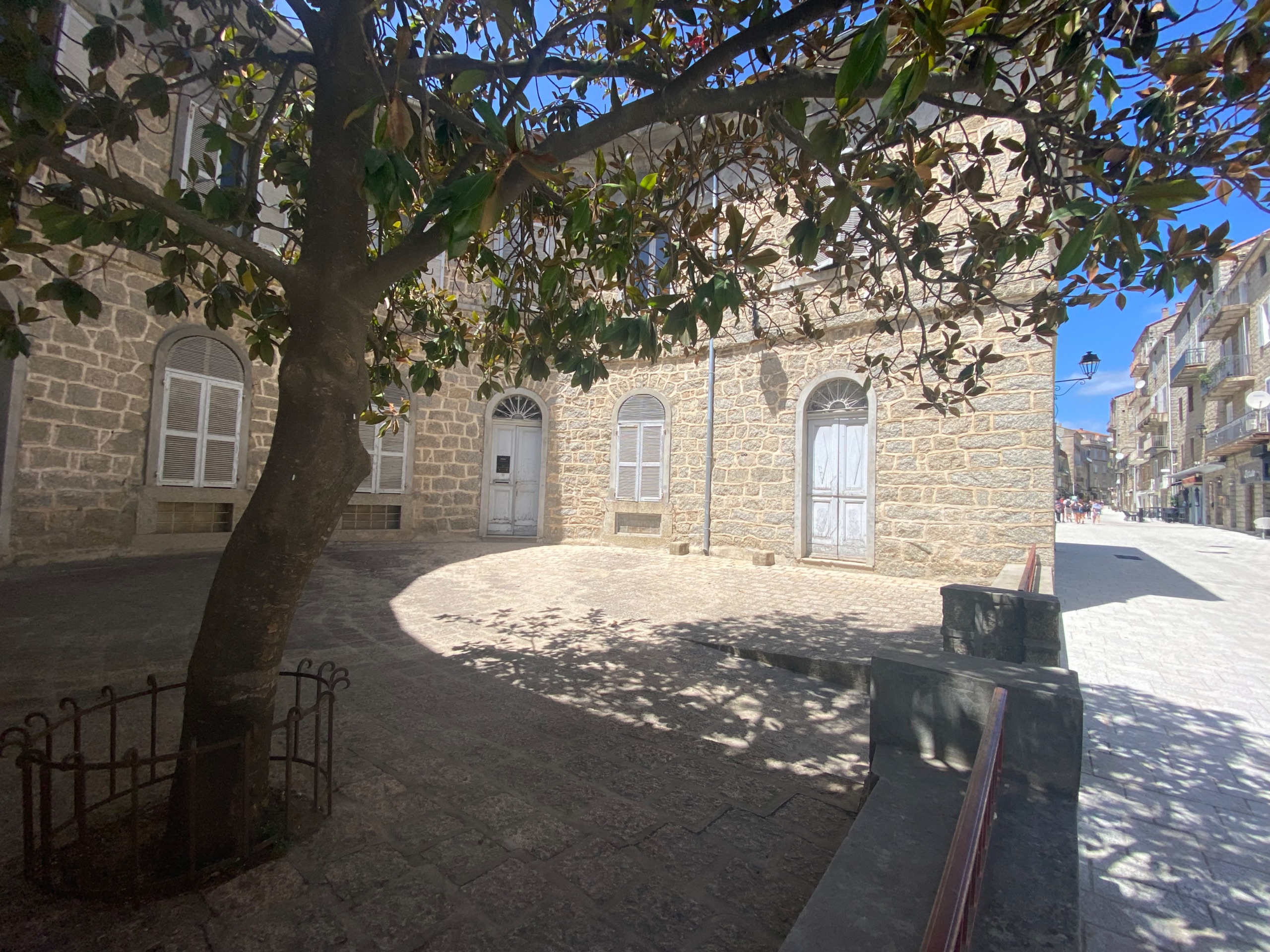 IMG 4953