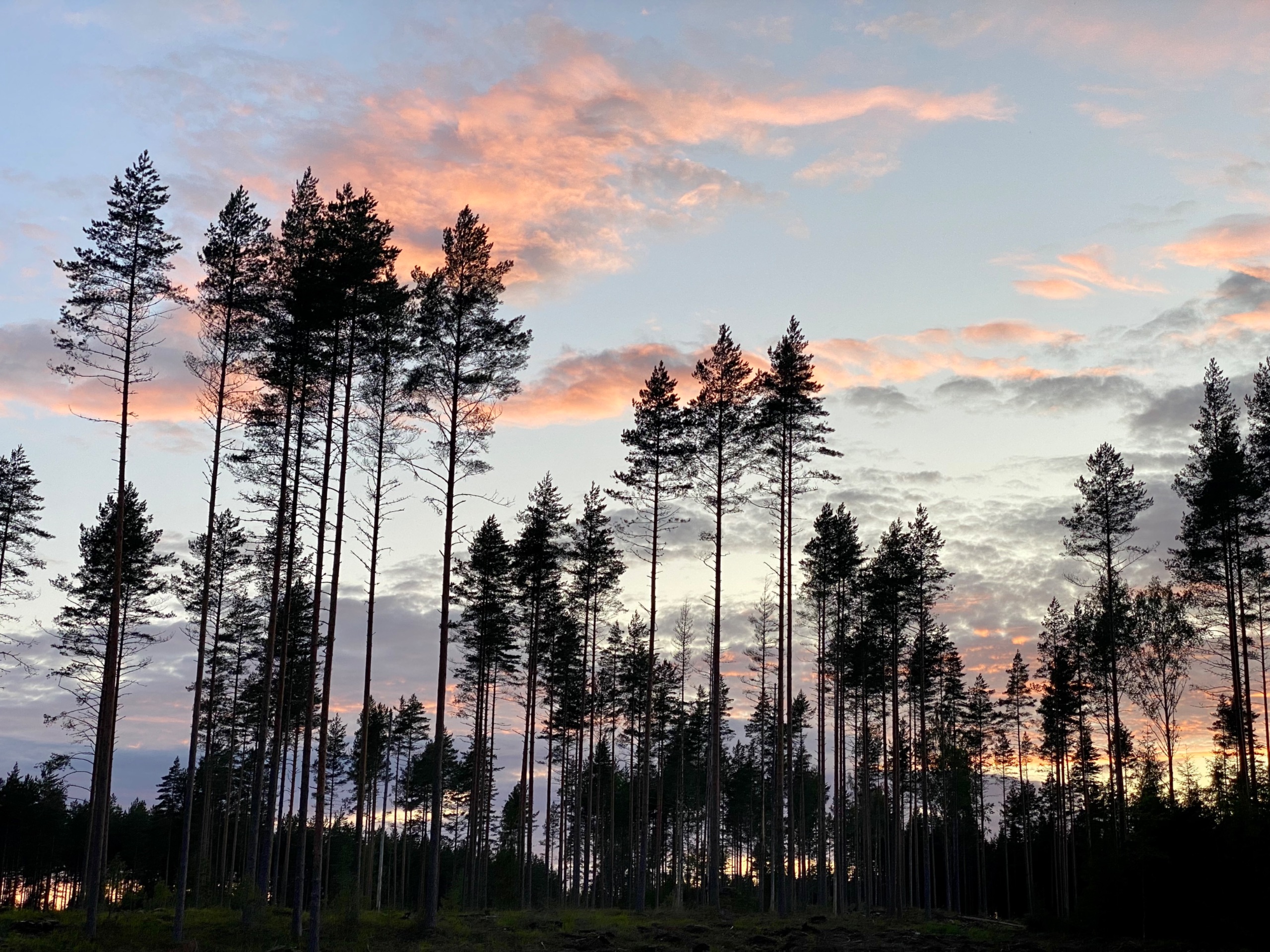 Finland