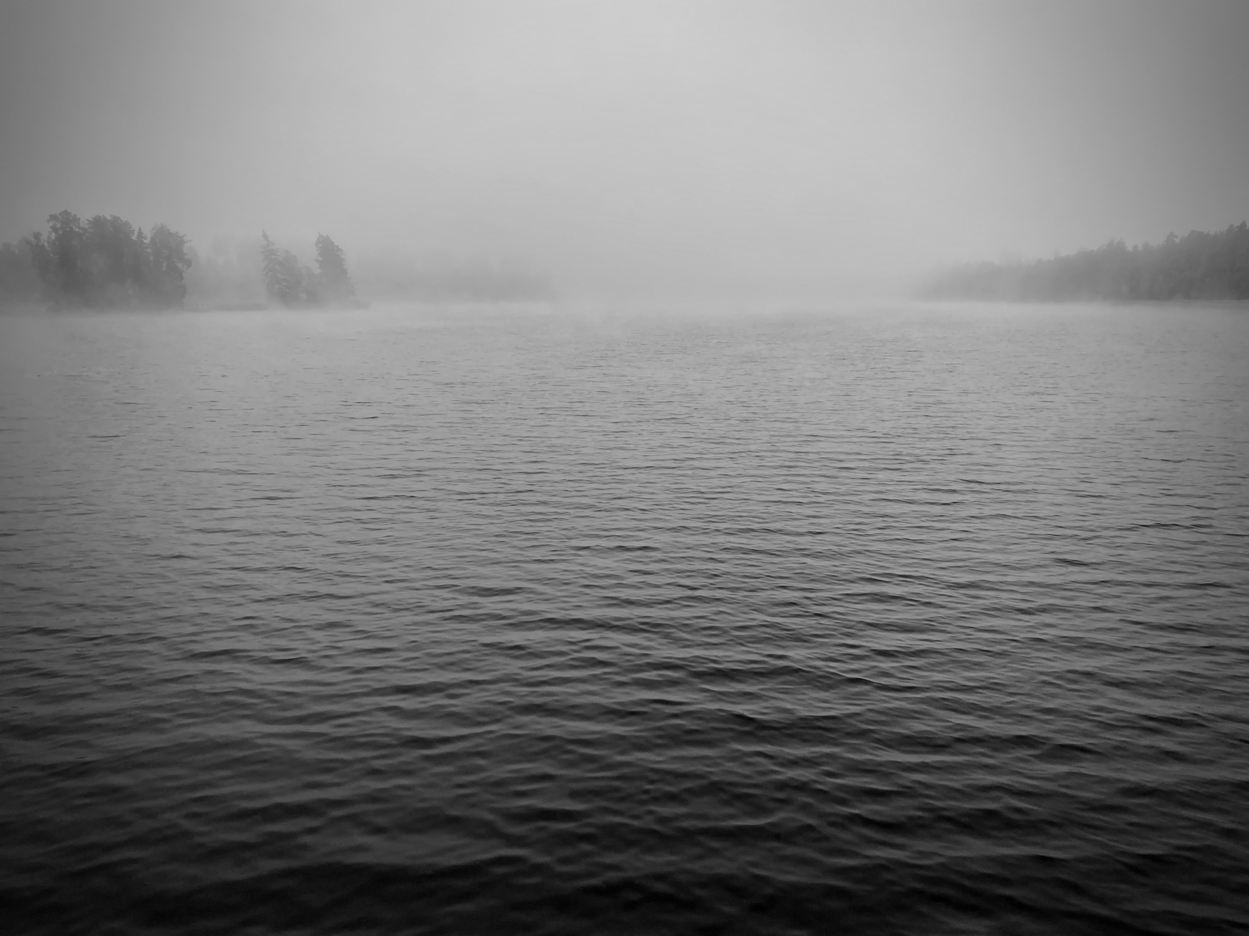 IMG 4516