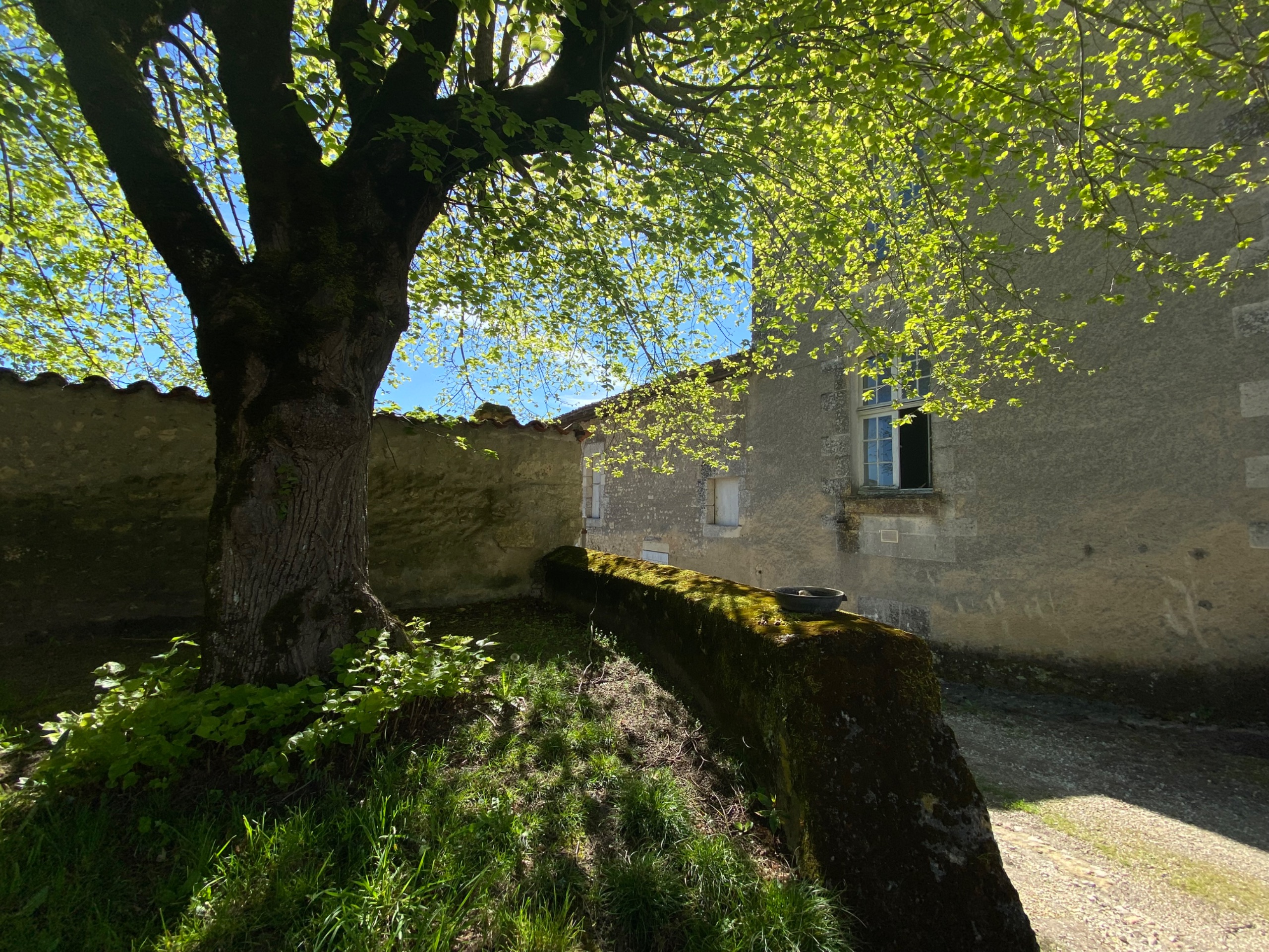 IMG 7645