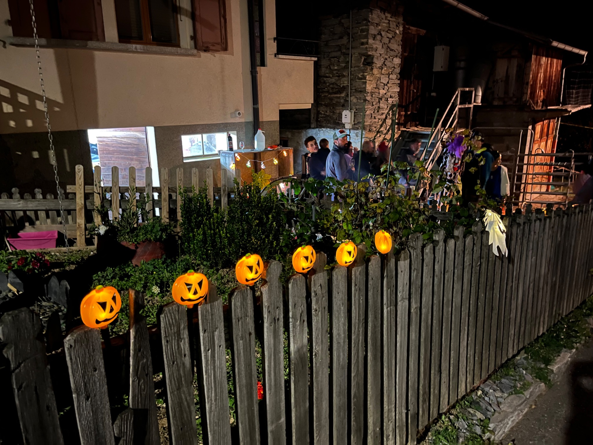 IMG 0474