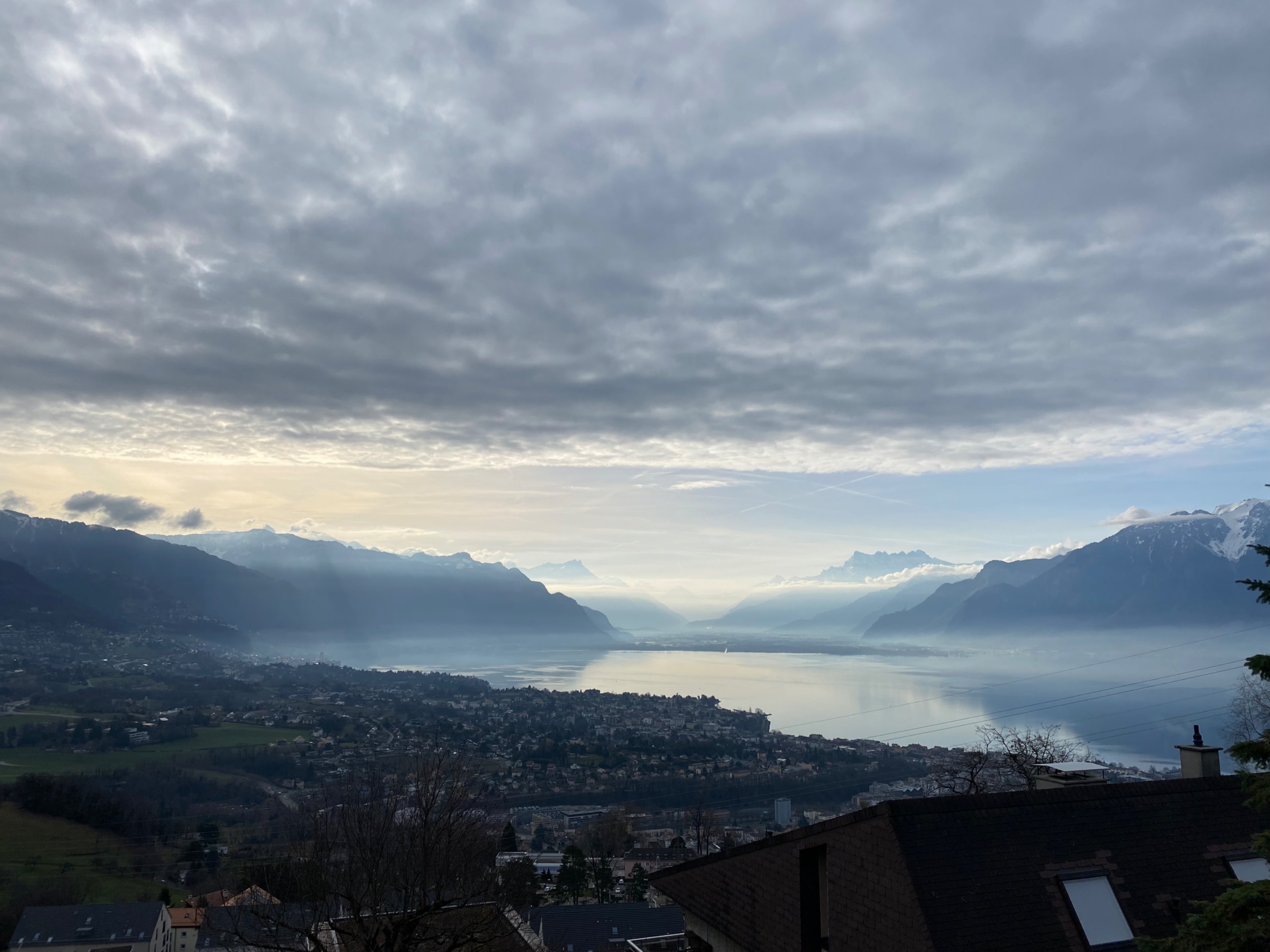 IMG 7136