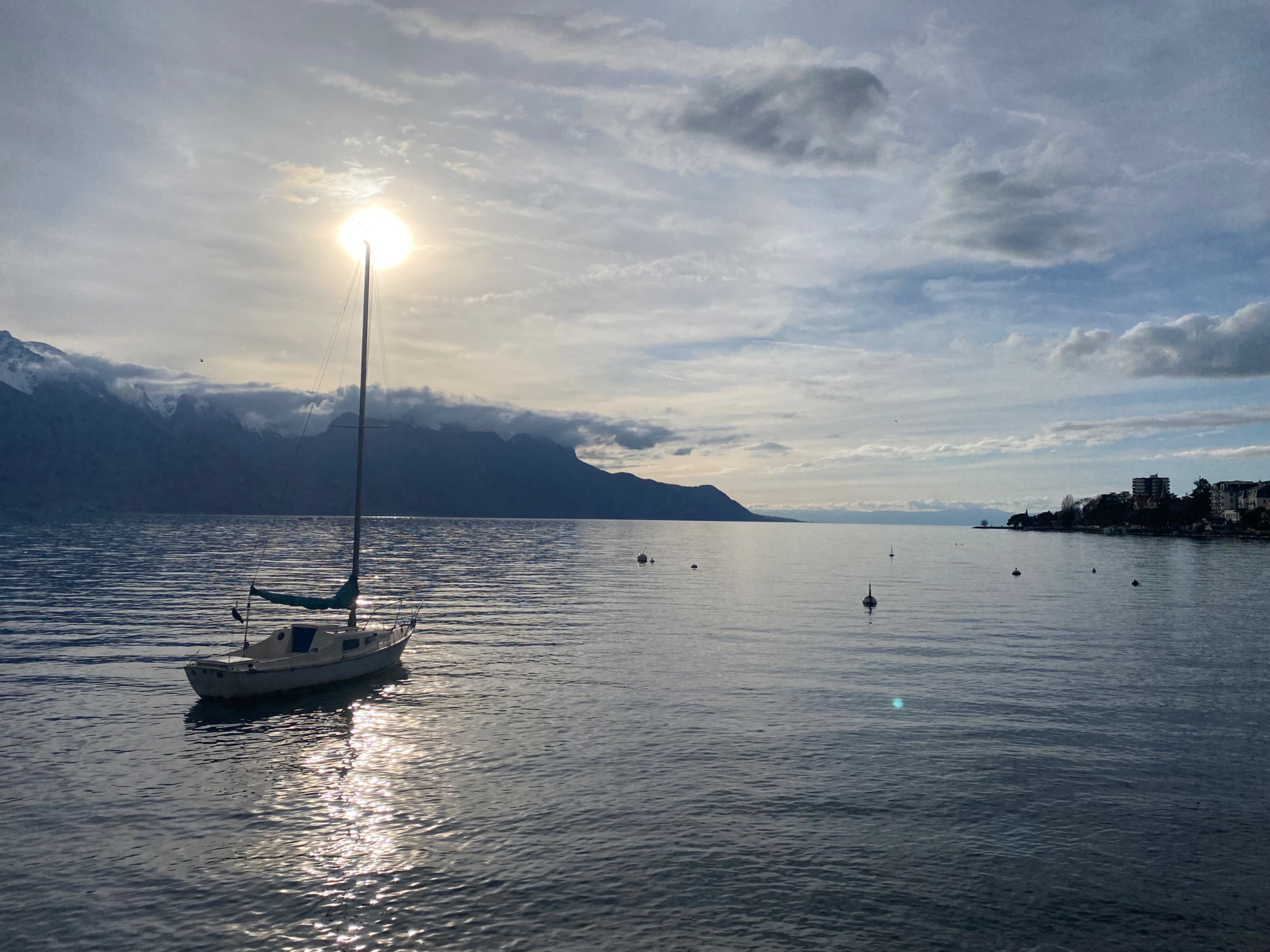 IMG 7254
