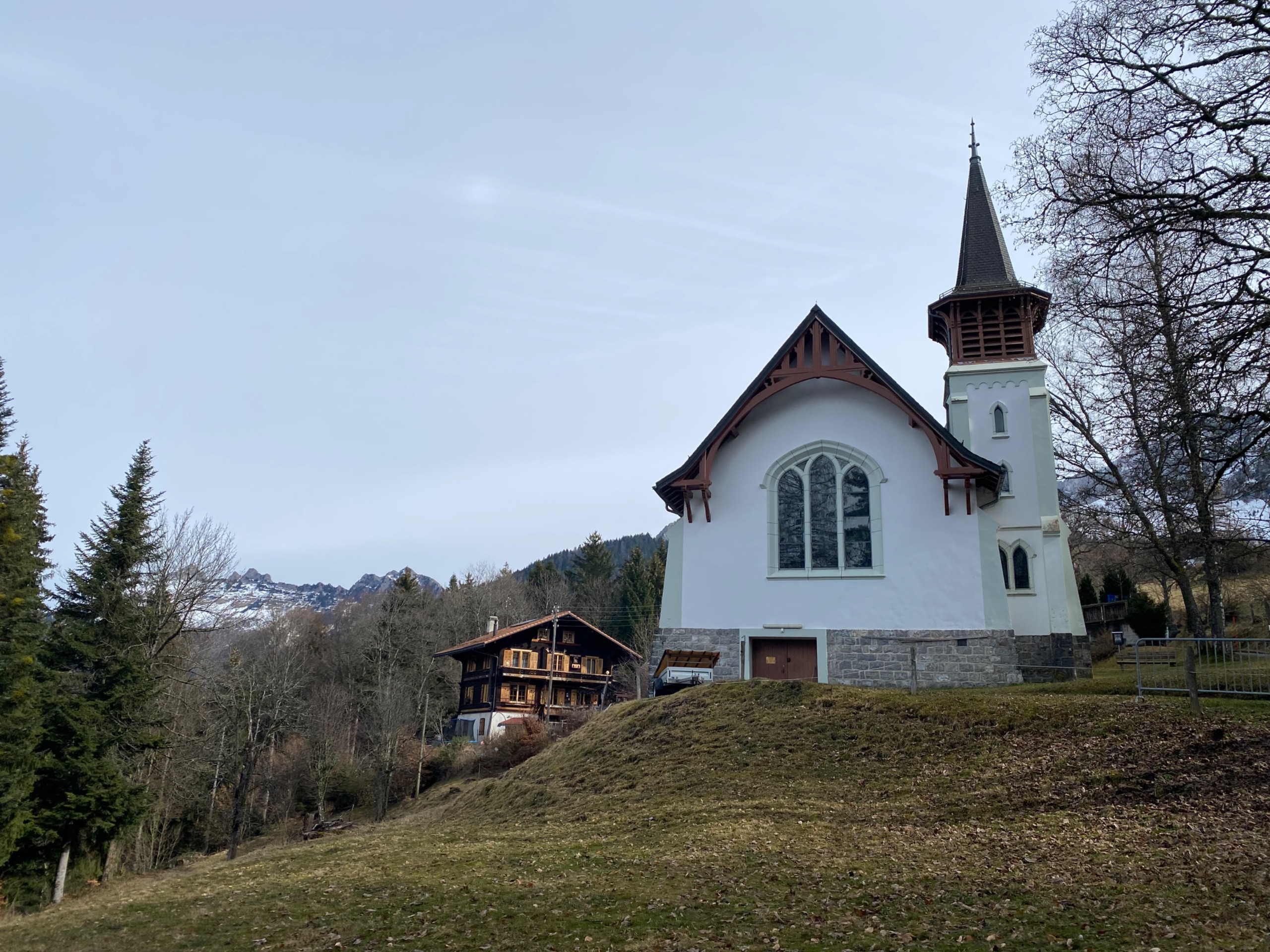 IMG 7258