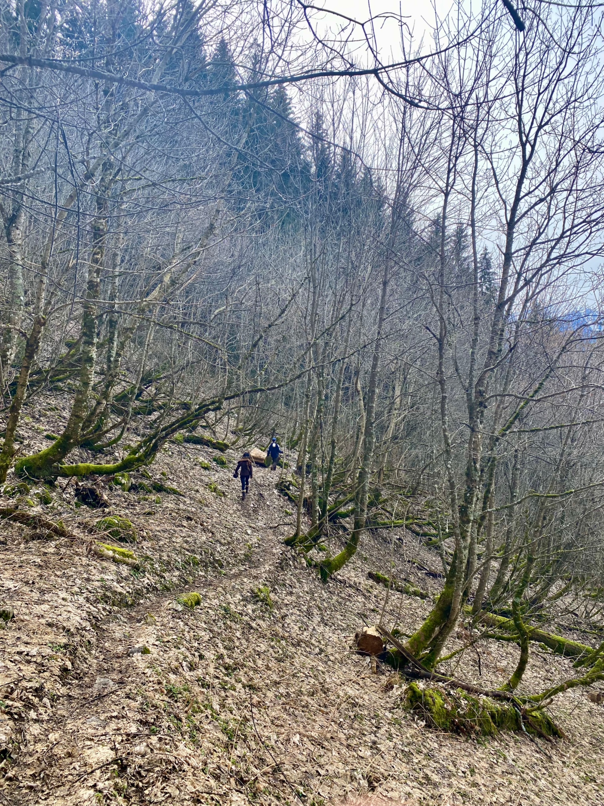 IMG 7267