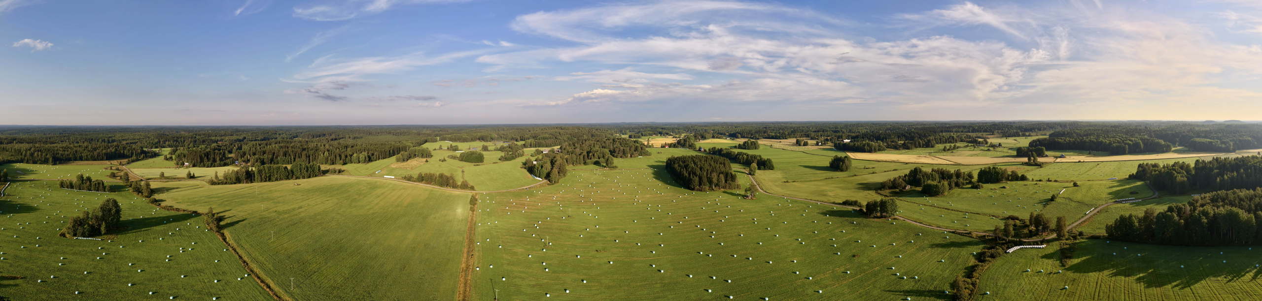 DJI 20250804064805 0083 D