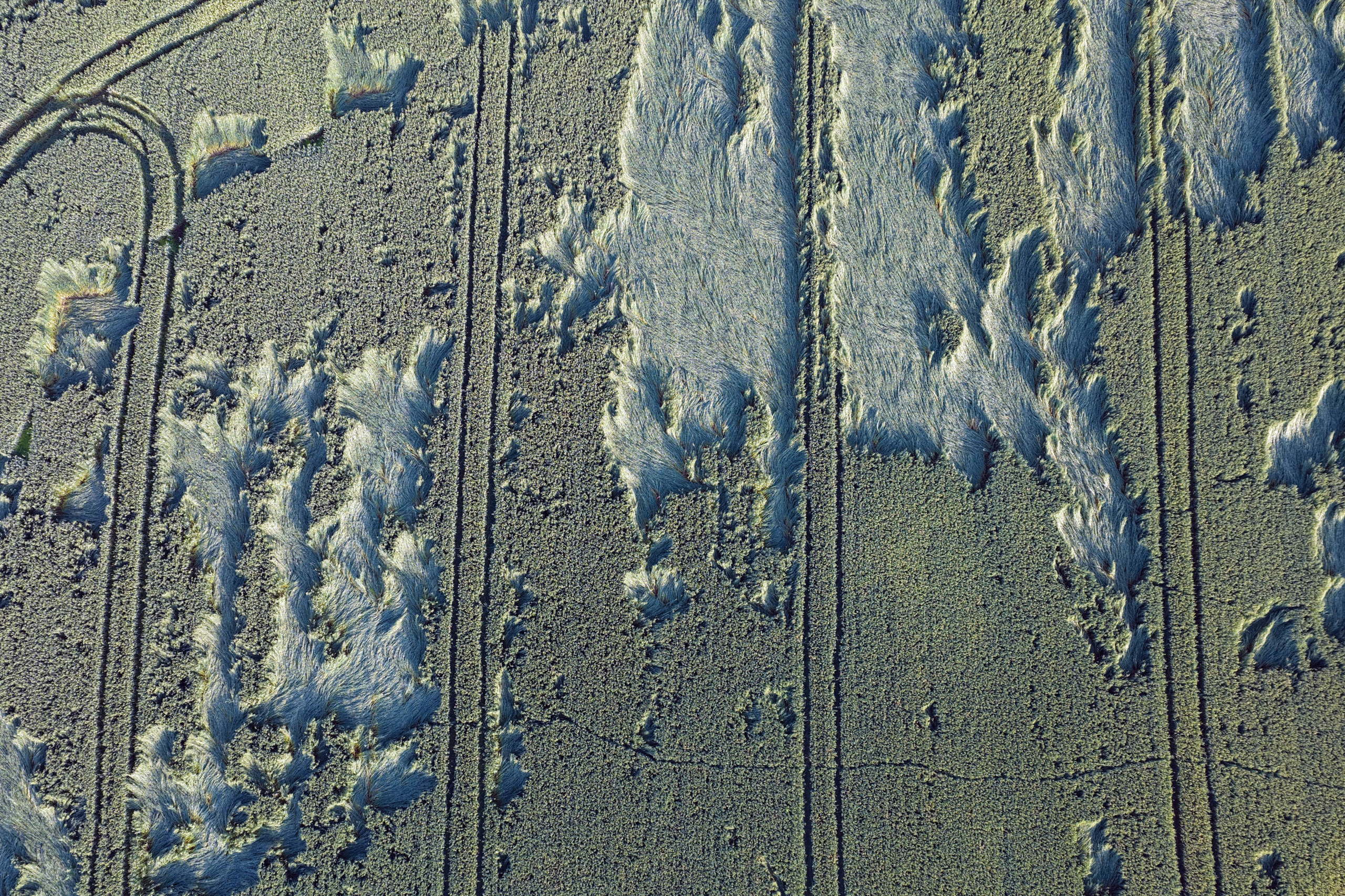 DJI 20250804070358 0091 D