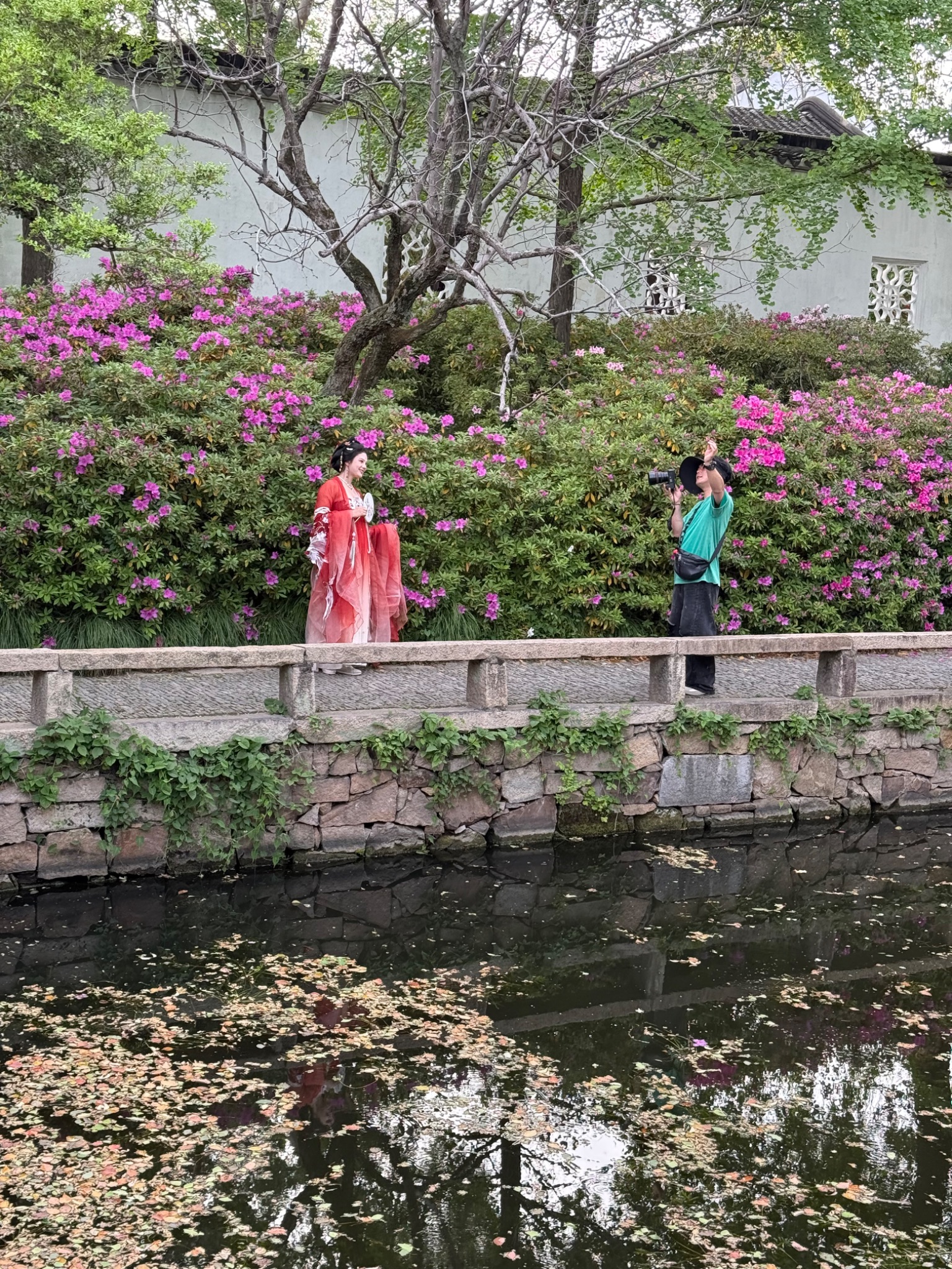 IMG 0583